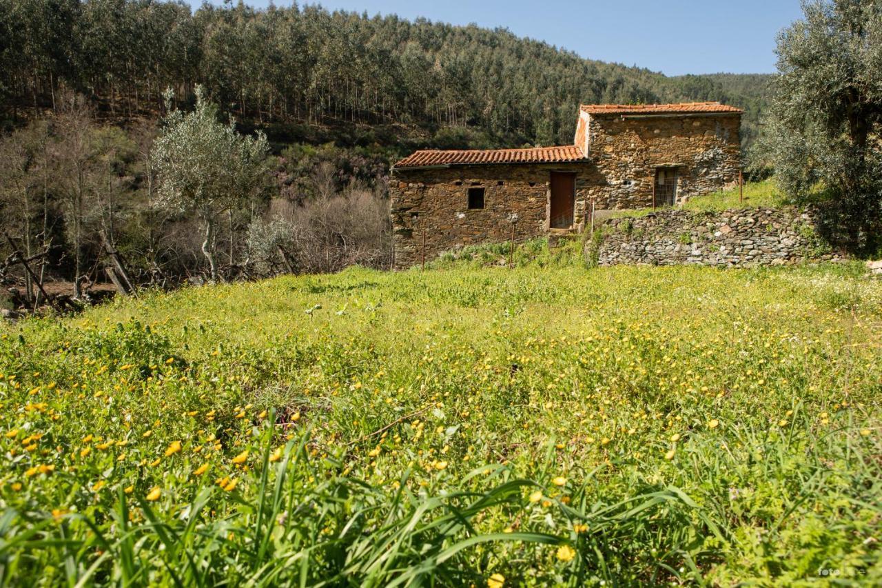 Casinha Da Aldeia Villa Castelo Branco  Exterior foto