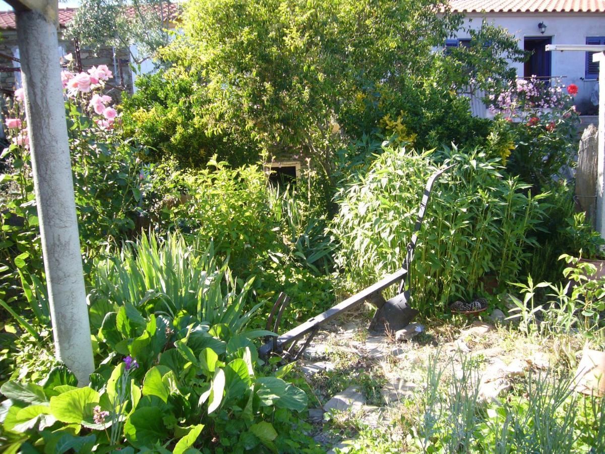 Casinha Da Aldeia Villa Castelo Branco  Exterior foto