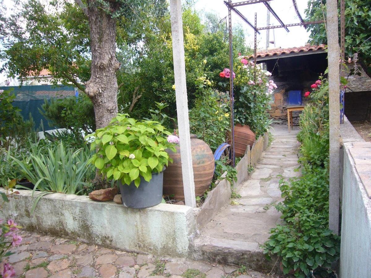 Casinha Da Aldeia Villa Castelo Branco  Exterior foto
