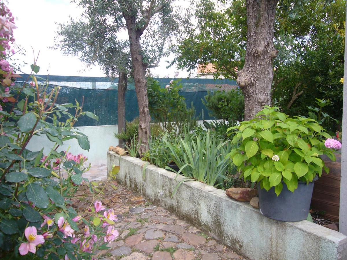 Casinha Da Aldeia Villa Castelo Branco  Exterior foto